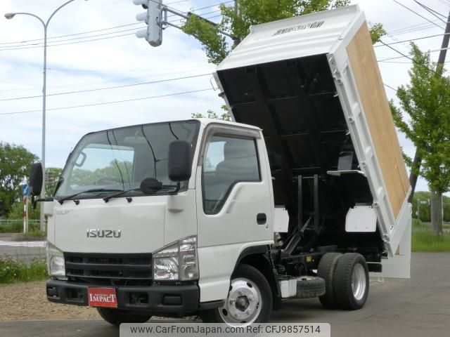 isuzu elf-truck 2007 GOO_NET_EXCHANGE_0303157A30240604W001 image 1