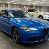 alfa-romeo giulia 2020 quick_quick_ABA-95220_ZAREAELN8L7632821 image 10