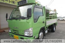 isuzu elf-truck 2019 CFJ1603098