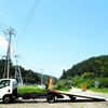 isuzu elf-truck 2019 CFJ1589068 image 2