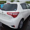 toyota vitz 2019 quick_quick_DBA-NSP135_NSP135-4001108 image 2