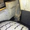 mitsubishi-fuso canter 2012 CFJ1537404 image 15