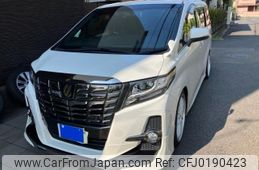 toyota alphard 2017 -TOYOTA--Alphard DBA-AGH30W--AGH30-0134742---TOYOTA--Alphard DBA-AGH30W--AGH30-0134742-