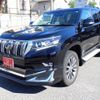 toyota land-cruiser-prado 2021 24431809 image 5