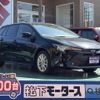 toyota corolla-touring-wagon 2024 GOO_JP_700060017330250621014 image 1