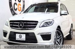 mercedes-benz amg 2013 CFJ1649309