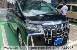 toyota alphard 2020 -TOYOTA--Alphard 6AA-AYH30W--AYH30-0110113---TOYOTA--Alphard 6AA-AYH30W--AYH30-0110113-