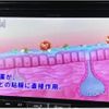 toyota alphard 2018 -TOYOTA--Alphard AGH30W--AGH30-0219394---TOYOTA--Alphard AGH30W--AGH30-0219394- image 34