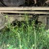 suzuki jimny 2009 -SUZUKI--Jimny ABA-JB23W--JB23W-606146---SUZUKI--Jimny ABA-JB23W--JB23W-606146- image 4