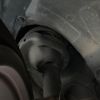 subaru wrx 2016 CFJ1583296 image 20