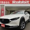 mazda cx-3 2024 -MAZDA--CX-30 5AA-DMEJ3R--DMEJ3R-103***---MAZDA--CX-30 5AA-DMEJ3R--DMEJ3R-103***- image 1