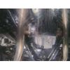 nissan fairlady-z 2024 -NISSAN 【岐阜 342ﾓ 89】--Fairlady Z 5BA-RZ34--RZ34-121475---NISSAN 【岐阜 342ﾓ 89】--Fairlady Z 5BA-RZ34--RZ34-121475- image 7