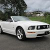 ford mustang 2007 -FORD--Ford Mustang ﾌﾒｲ--ｱｲ5163902ｱｲ---FORD--Ford Mustang ﾌﾒｲ--ｱｲ5163902ｱｲ- image 1