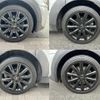 mini mini-others 2017 CFJ1717883 image 9