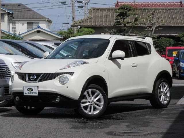 nissan juke 2011 2455216-26265 image 1