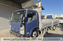 isuzu elf-truck 2009 GOO_NET_EXCHANGE_0700928A30250125W001