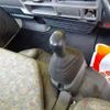 isuzu elf-truck 2003 CFJ1519375 image 21
