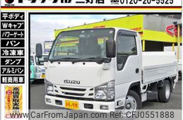 isuzu elf-truck 2019 GOO_NET_EXCHANGE_0208643A30241008W001