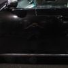 lexus gs 2010 CFJ1601987 image 3