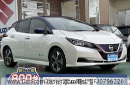 nissan leaf 2020 GOO_JP_700060017330250225001