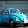 volkswagen-the-beetle-1975-13805-car_d85786e6-d2ee-4e01-959e-9850212db961