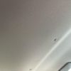 suzuki alto 2019 CFJ1518489 image 21