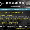 mini mini-others 2017 CFJ1821067 image 3