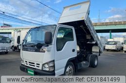 isuzu elf-truck 2006 CFJ1841499