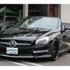 mercedes-benz mercedes-benz-others 2013 WDD2314791F017833_22000 image 2