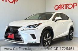 lexus nx 2019 CFJ1725451