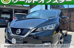 nissan leaf 2019 quick_quick_ZE1_ZE1-052804