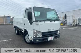 isuzu elf-truck 2010 GOO_NET_EXCHANGE_0541483A30240409W001