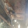 suzuki wagon-r 2006 CFJ1558581 image 10