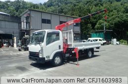 isuzu elf-truck 2008 CFJ1603983