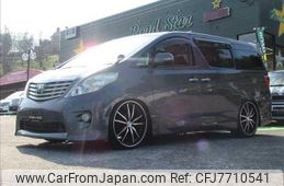 toyota alphard 2010 -TOYOTA--Alphard ANH20W--ANH20-8145847---TOYOTA--Alphard ANH20W--ANH20-8145847-
