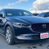 mazda cx-3 2019 -MAZDA--CX-30 5BA-DMEP--DMEP-101171---MAZDA--CX-30 5BA-DMEP--DMEP-101171- image 10