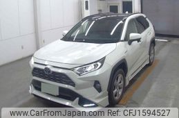 toyota rav4 2019 CFJ1594527