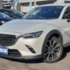 mazda cx-3 2019 -MAZDA--CX-3 6BA-DKEFW--DKEFW-204390---MAZDA--CX-3 6BA-DKEFW--DKEFW-204390- image 7