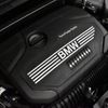 bmw x1 2018 -BMW--BMW X1 CBA-JG20--WBAJG92030EM14519---BMW--BMW X1 CBA-JG20--WBAJG92030EM14519- image 10