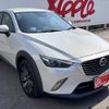 mazda cx-3 2015 -MAZDA--CX-3 LDA-DK5FW--DK5FW-116373---MAZDA--CX-3 LDA-DK5FW--DK5FW-116373- image 10