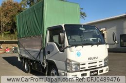 isuzu elf-truck 2010 GOO_NET_EXCHANGE_1300219A30241125W001