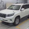 toyota land-cruiser-prado 2019 CFJ1815813 image 1
