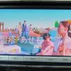 toyota prius-α 2015 quick_quick_DAA-ZVW40W_ZVW40-3113576 image 11