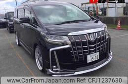 toyota alphard 2022 -TOYOTA 【名変中 】--Alphard AGH30W--0435184---TOYOTA 【名変中 】--Alphard AGH30W--0435184-