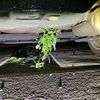 toyota prius-α 2014 -TOYOTA--Prius α DAA-ZVW41W--ZVW41-0013503---TOYOTA--Prius α DAA-ZVW41W--ZVW41-0013503- image 6