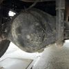 mitsubishi-fuso canter 2016 CFJ1784376 image 15