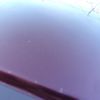 honda n-one 2012 -HONDA--N ONE DBA-JG1--JG1-2000071---HONDA--N ONE DBA-JG1--JG1-2000071- image 16