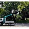 isuzu elf-truck 2000 CFJ1529801 image 2