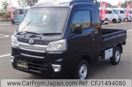 daihatsu hijet-truck 2019 CFJ1494080