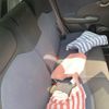 honda fit 2010 -HONDA--Fit DBA-GE6--GE6-1392577---HONDA--Fit DBA-GE6--GE6-1392577- image 7